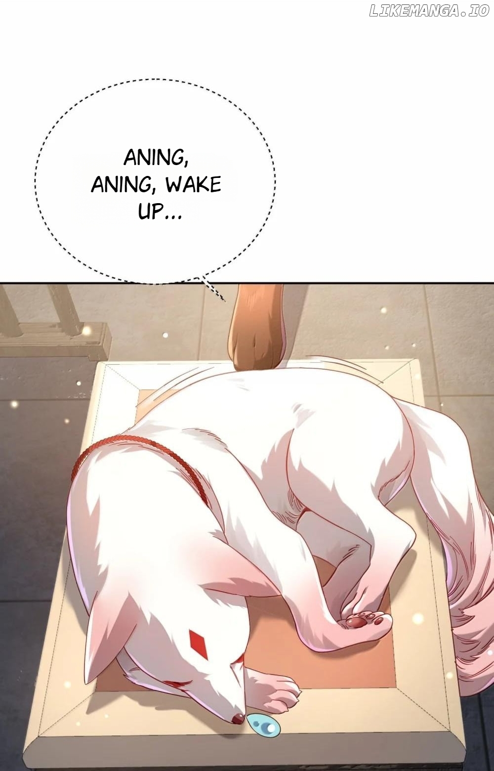 It’s Just Fortune-Telling. How Did the Nine-Tailed Demon Emperor Become My Wife? Chapter 51 - page 7